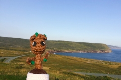 Avalon Peninsula