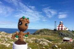 Bonavista Peninsula