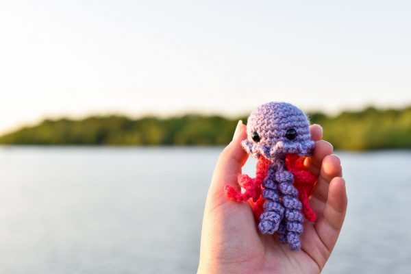 a small crochet purple and pink jellyfish toy held up in front of a lake