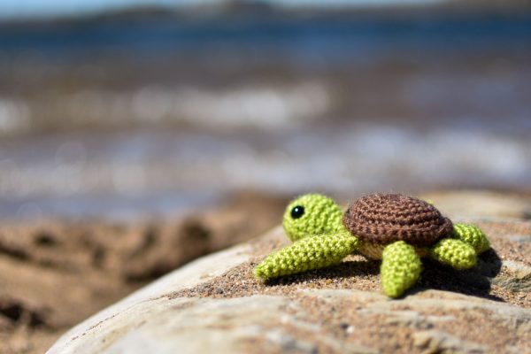 a small crochet sea turtle toy sitting on a rock on a beach next to a lake