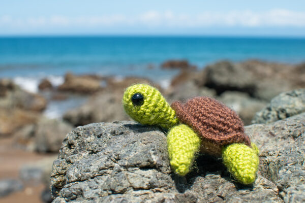 a small crochet sea turtle toy sitting on a rock at the beach overlooking the ocean