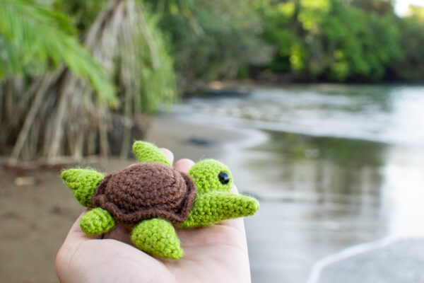 a small crochet sea turtle toy being held up in front of a tropical beach