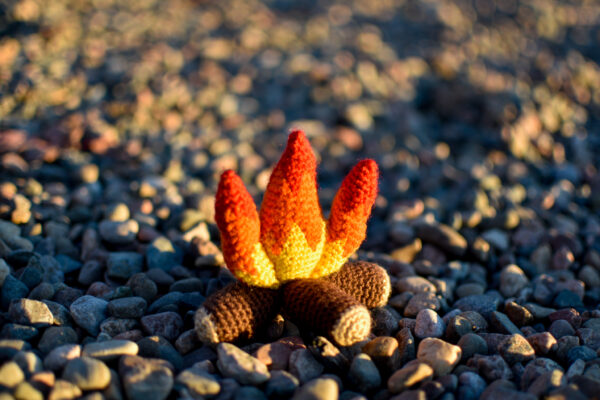 a small plush crochet campfire sitting on a rocky beach at sunset