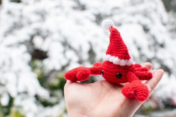 a small red crochet crab with a Santa Hat, held up against a snowy background