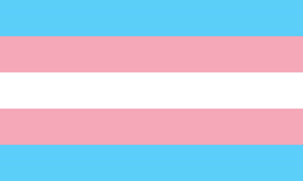 the Trnas flag - light blue, light pink, and white