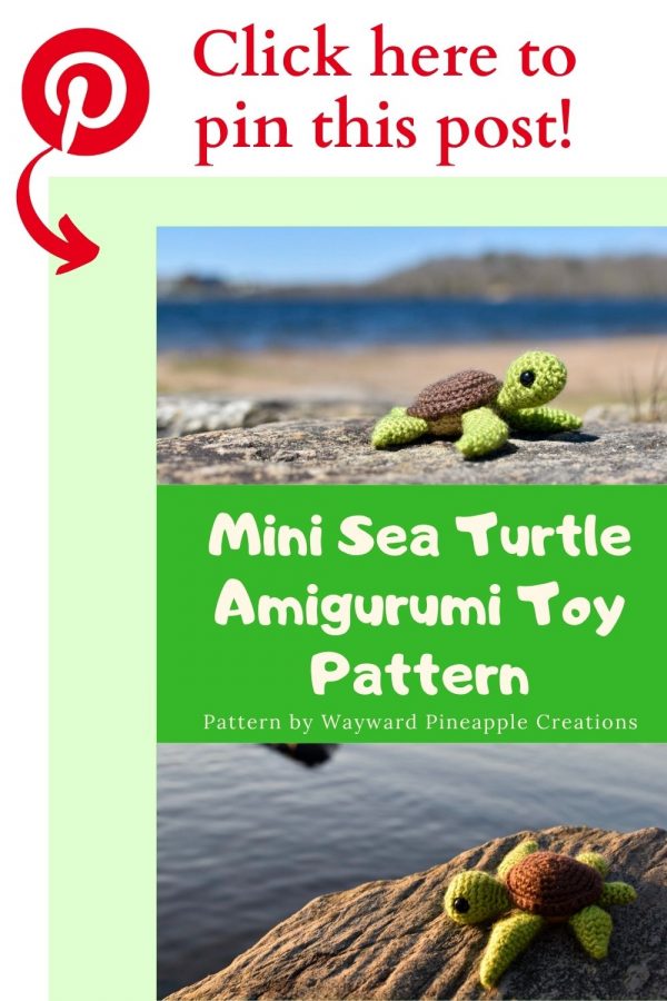 Mini Turtle Pin this post!