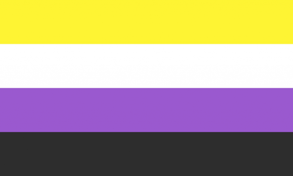 The Non-binary pride flag: yellow, white, purple, black