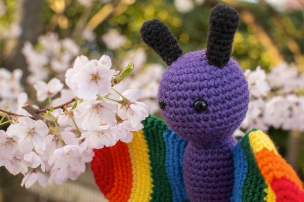 a stuffed crochet butterfly toy with a purple body, black antennae, and rainbow coloured wings. The butterfly is held up to the petals of a cherry blossom tree