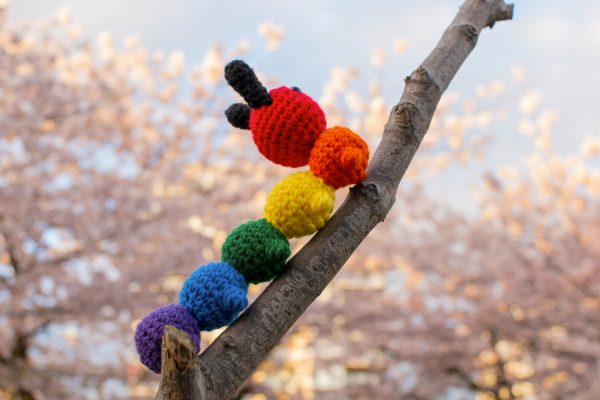 a crochet stuffed caterpillar made in rainbow colours, with the head and each body segment a different colour of the rainbow. The caterpillar is climbing the branch of a cherry blossom tree