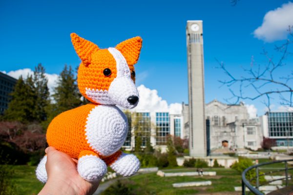 a crochet stuffed corgi dog being held up in front of an old stone building with a clock tower on a univesity campus