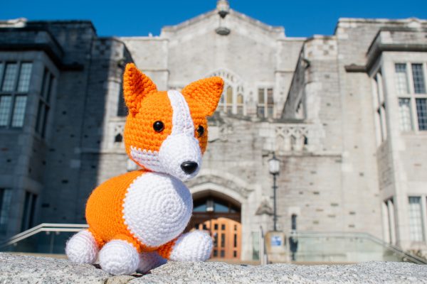 a crochet stuffed corgi dog standing on a stone wall in front of an old stone university campus building