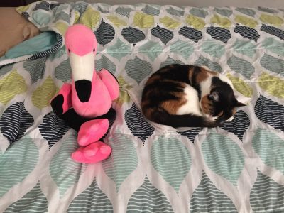 a cat lying on a bed next to a stuffed flamingo